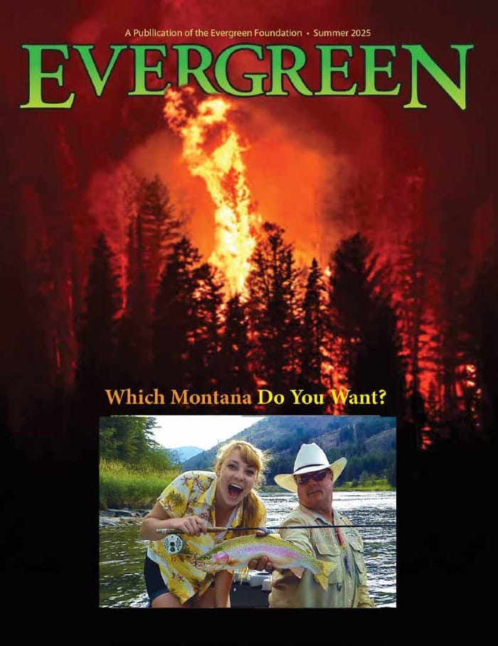 Which Montana? - Resource Page
