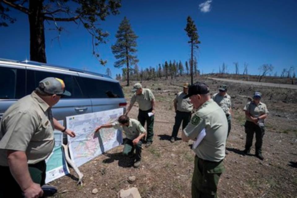 A picture containing outdoor, sky, person, people
AI-generated content may be incorrect.