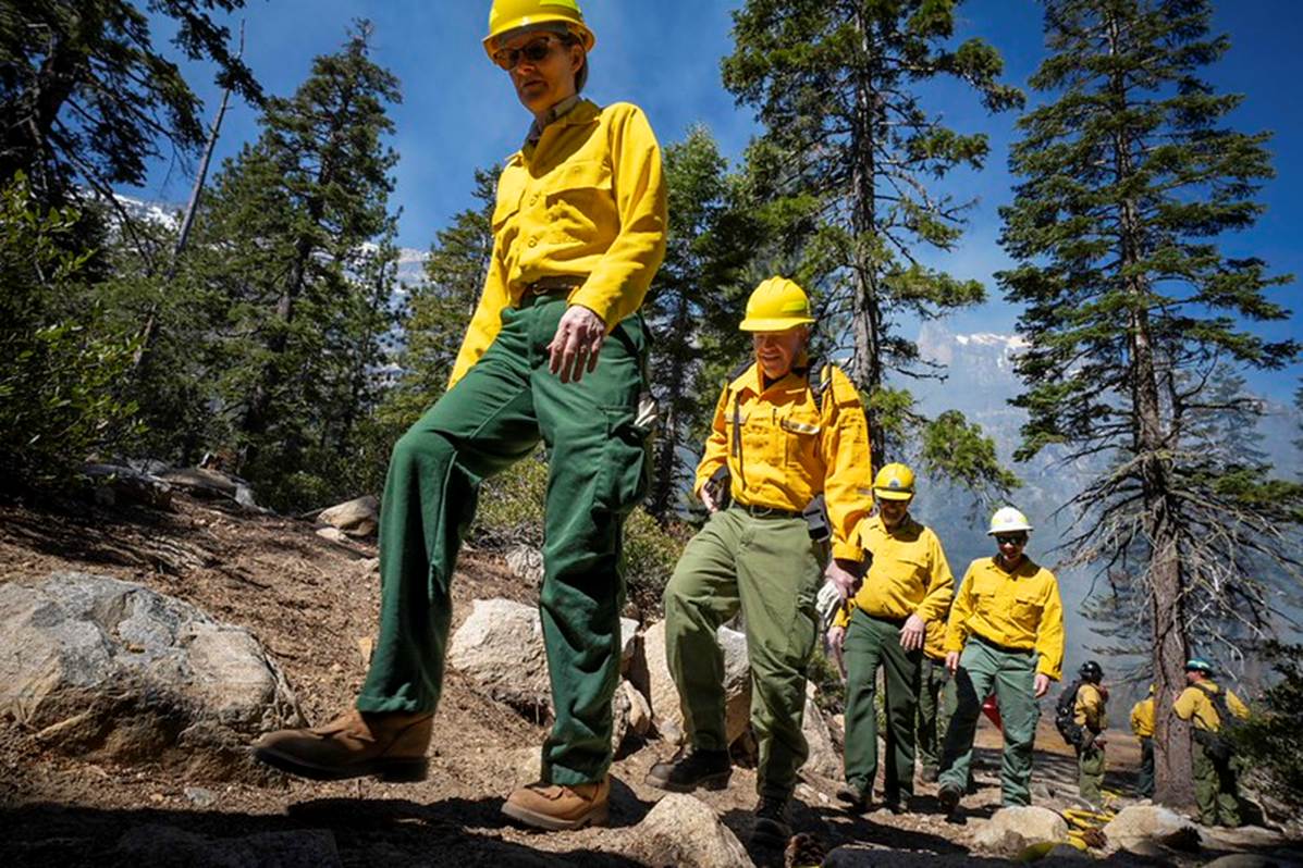 A picture containing tree, outdoor, person, sky
AI-generated content may be incorrect.