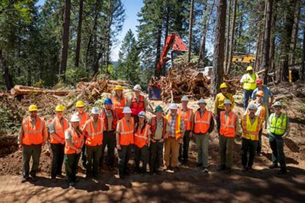 A picture containing tree, outdoor, group, person
AI-generated content may be incorrect.