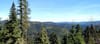 Embracing Forest Collaboration: Mary Farnsworth