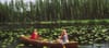Canadian Forestry As A Model