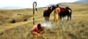 The Confederated Tribes of the Colville Reservation