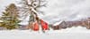 Christmas Morning On The Farm