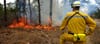 A Taxpayer's Guide To Wildfires: Part 5