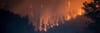 Bob Roper on Wildfires and What to do Next