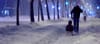 On Snowy Nights: By Jim Petersen