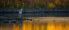 Bridge Over Troubled Waters: What's Happening in Watersheds?