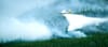 A Taxpayer's Guide To Wildfires: Part 4