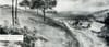 There Was No “Sea of Old Growth”