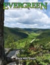 Black Hills Green