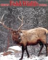 Elliott Forest Boondoggle vs The Giesy Plan Alternative: Winter edition of the Oregon Fish & Wildlife Journal