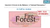 A CALL TO ACTION: Prevent Wildfire Destruction