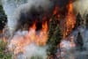 Wildfire Statistics - Acres burned in 2020