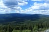 How to protect mature and old growth forests